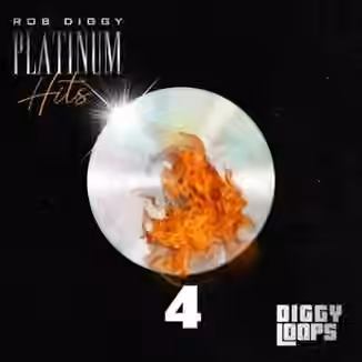 Big Citi Loops Platinum Hits 4 [WAV]
