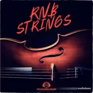Big Citi Loops RNB STRING LOOPS [WAV]