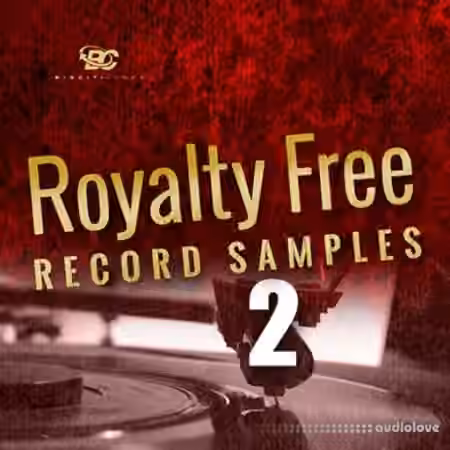 Big Citi Loops Royalty-Free Record Samples Part 2 [WAV] - Sample Pack Artwork
