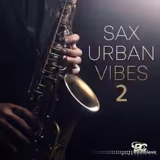 Big Citi Loops Sax Urban Vibes 2 [WAV]