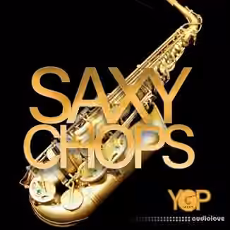 Big Citi Loops Saxy Chops [WAV]