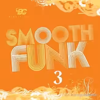 Big Citi Loops Smooth Funk 3 [WAV]