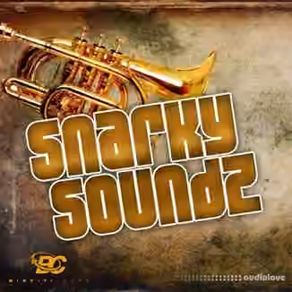Big Citi Loops Snarky Soundz [WAV]