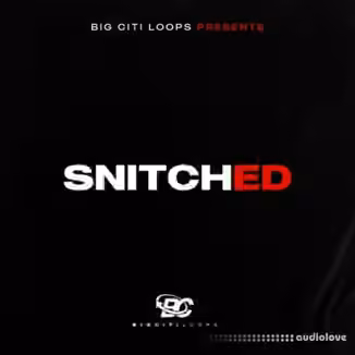 Big Citi Loops Snitched [WAV]