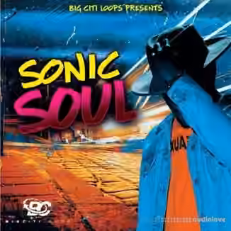 Big Citi Loops Sonic Soul 5 [WAV]