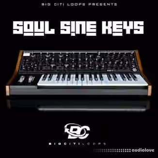 Big Citi Loops Soul Sine Keys [WAV]