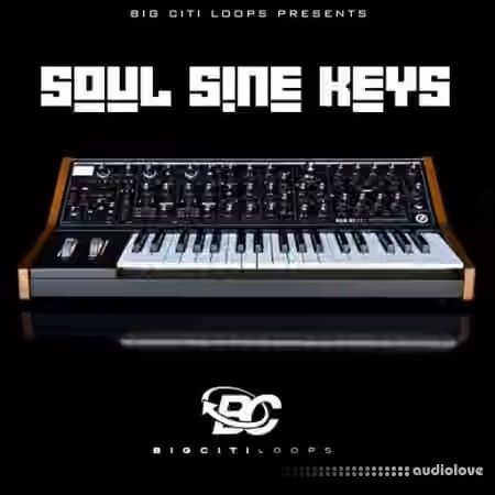 Big Citi Loops Soul Sine Keys [WAV] - Sample Pack Artwork