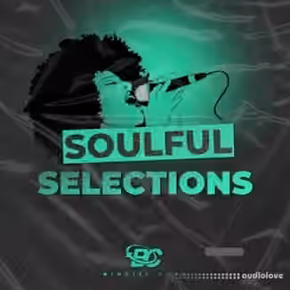 Big Citi Loops Soulful Selections [WAV]