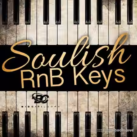 Big Citi Loops Soulish RnB Keys [WAV] - Sample Pack Artwork