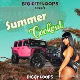 Big Citi Loops Summer Cookout [WAV]