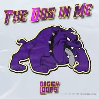 Big Citi Loops The Dog In Me [WAV]