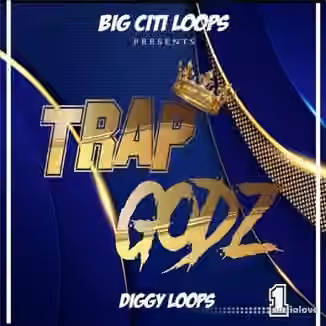Big Citi Loops Trap GodZ [WAV]