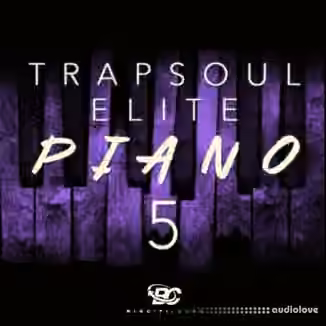 Big Citi Loops Trapsoul Elite Piano 5 [WAV]