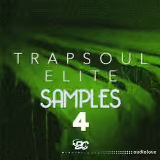 Big Citi Loops Trapsoul Elite Samples 4 [WAV]