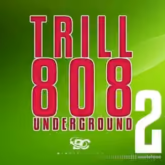 Big Citi Loops Trill 808 Underground 2 [WAV]