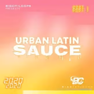 Big Citi Loops Urban Latin Sauce [WAV]