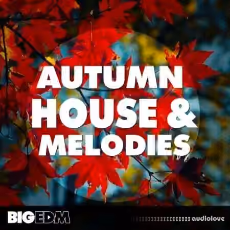 Big EDM Autumn House and Melodies [WAV, MiDi, Synth Presets] - Sample Pack Artwork