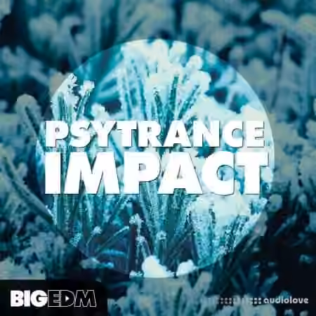 Big EDM Psytrance Impact [WAV, MiDi, Synth Presets] - Sample Pack Artwork