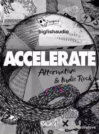 Big Fish Audio Accelerate Alternative and Indie Rock [MULTiFORMAT, KONTAKT]