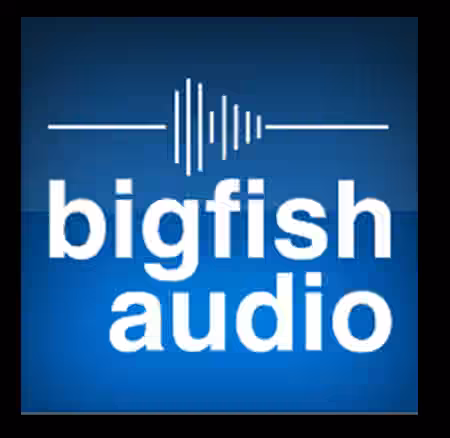 Big Fish Audio Electro Pop v1.0.0.3 [for SONAR] - Sample Pack Artwork