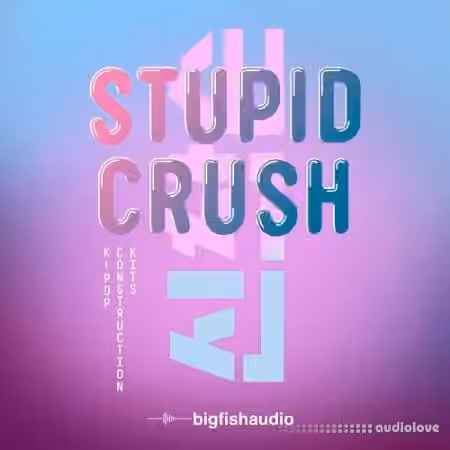 Big Fish Audio Stupid Crush K-Pop [WAV] - Sample Pack Artwork