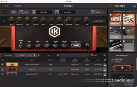 Big Hairy Profiles IK TONEX CUST3 [Synth Presets] - Sample Pack Artwork
