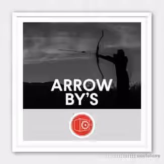 Big Room Sound Arrow By's [WAV]