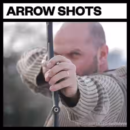 Big Room Sound Arrow Shots [WAV] - Sample Pack Artwork