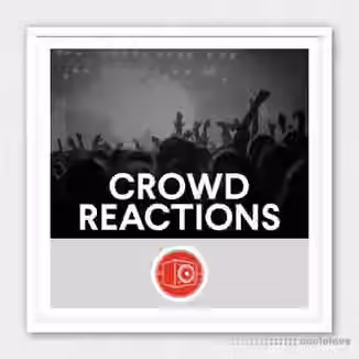 Big Room Sound Crowd Reactions [WAV]