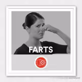 Big Room Sound Farts [WAV]