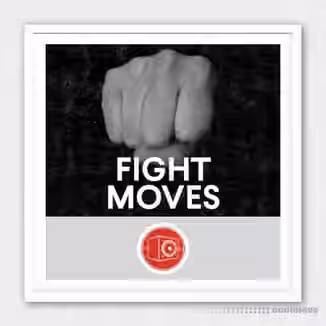 Big Room Sound Fight Moves [WAV]
