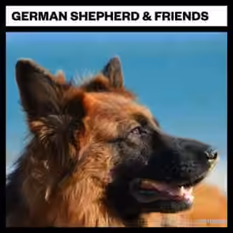 Big Room Sound German Shepard and Friends [WAV]