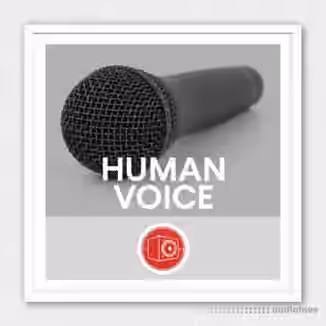 Big Room Sound Human Voice [WAV]