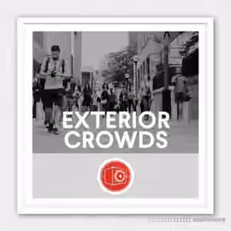 Big Room Sound Interior Crowds [WAV]