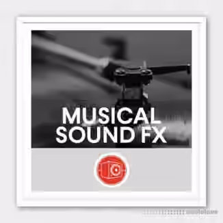 Big Room Sound Musical Sound Effects [WAV]
