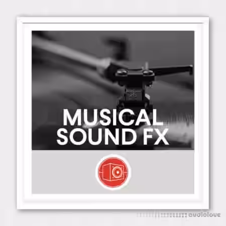 Big Room Sound Musical Sound Effects [WAV] - Sample Pack Artwork