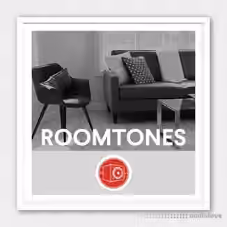 Big Room Sound Roomtones [WAV]