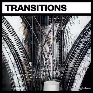 Big Room Sound Transitions [WAV]