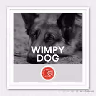 Big Room Sound Wimpy Dog [WAV]