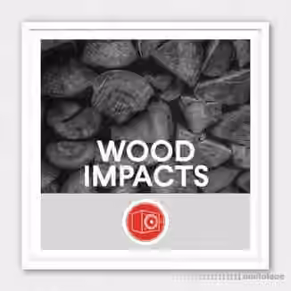 Big Room Sound Wood Impacts [WAV]