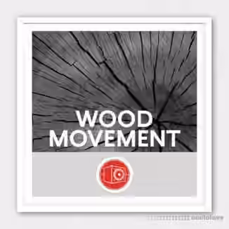 Big Room Sound Wood Movement [WAV]