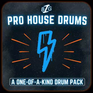 Big Z Sounds Big Z's Pro House Drums [WAV]