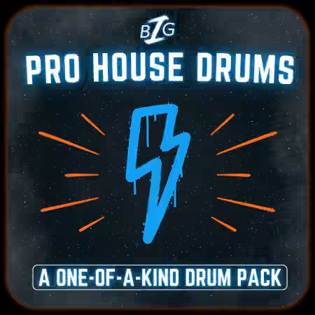 Big Z Sounds Big Z's Pro House Drums [WAV] - Sample Pack Artwork