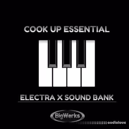 BigWerks Cook Up Essentials [Synth Presets] - Sample Pack Artwork