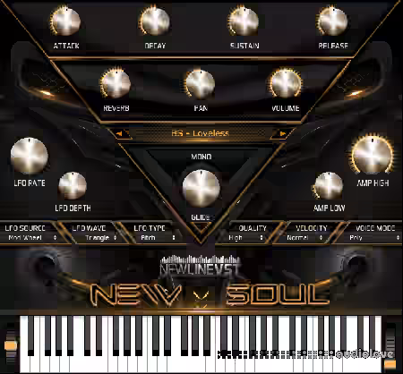 BigWerks New Soul plug-in [WiN, MacOSX] - Sample Pack Artwork