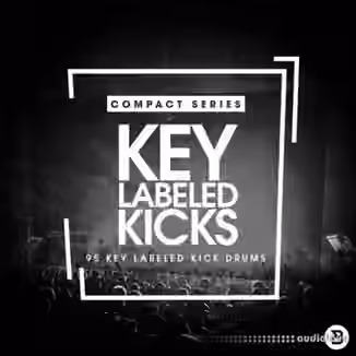 Bingoshakerz Compact Series Key Labeled Kicks [WAV]