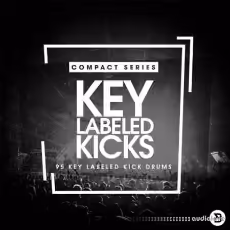 Bingoshakerz Compact Series Key Labeled Kicks [WAV] - Sample Pack Artwork