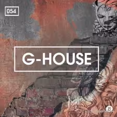 Bingoshakerz G-House [WAV, MiDi] - Sample Pack Artwork