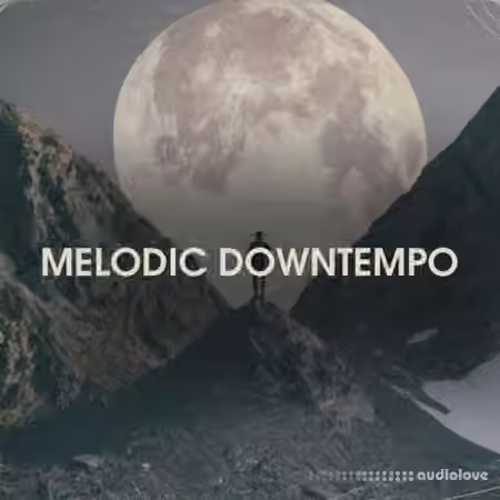Bingoshakerz Melodic Downtempo [WAV] - Sample Pack Artwork