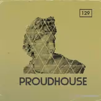 Bingoshakerz Proud House [WAV, MiDi, REX]